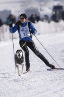 Lenk 2013